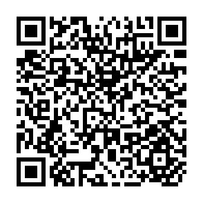 QR Code for Physical Losses and Quality Deterioration in Rice Postproduction Systems