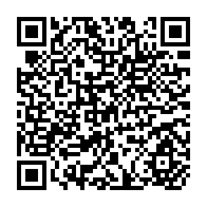 QR Code for Copublication of IRRI Materials: A Survey of Translators and Publishers