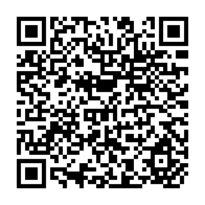 QR Code for Culture,Resource, and Economicactivity an Introduction to economic Geography
