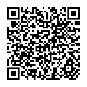 QR Code for New Directions in Community Organization