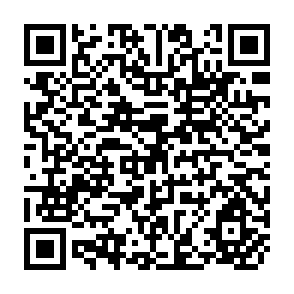 QR Code for Food Policy Analysis in Thailand
