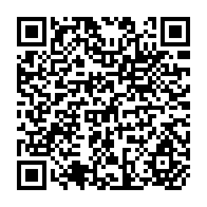 QR Code for The Economics of Labor Force Particip Ation