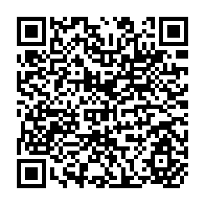 QR Code for Programme evaluation organisation planning commission