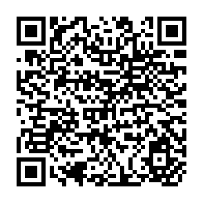 QR Code for Growth in Spasmodia: Foreign Borrowing and Crises