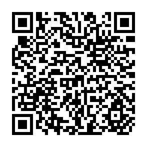QR Code for Report on Research and Development 1981/82
