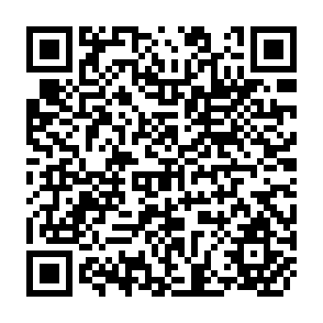 QR Code for Employment Policy in Developing Countries