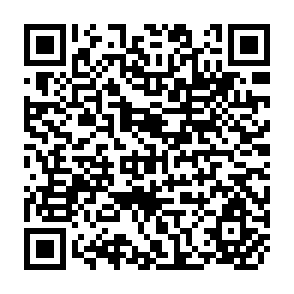 QR Code for Poverty, Productivity and Participation