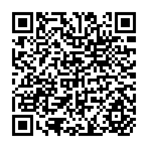 QR Code for Impact of the Sonauli- Pokhara Highway on the Regional Income and Agricultural Production of Pokhara Valley, Nepol