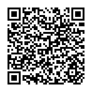 QR Code for Agricultural Price Policies and the Developing Countries