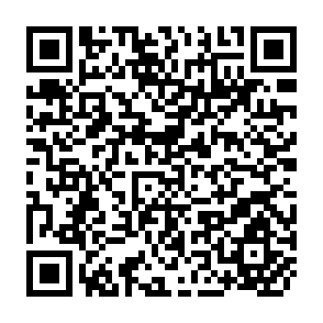 QR Code for New Special Libraries