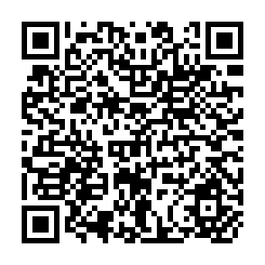 QR Code for Food Policy, Human Nutrition, and Fertility