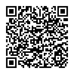 QR Code for Lessons and Constraints of Export Crop-Led Growth: Cocoa in Ivory Coast