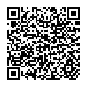 QR Code for Guidelines for the Preparation of Evaluation Studies