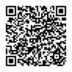 QR Code for Feasibility of Commercial Dairying withCattle Indigenous to the Tropics