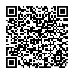 QR Code for PL 480 Title I: A Discussion of Impact Evalution Results and Recommendations