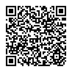 QR Code for Prospects For Primary Health Care in Africa
