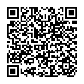 QR Code for Prospects For Primary Health Care in Africa