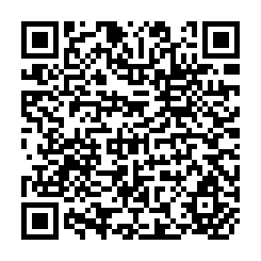 QR Code for Food AID and Development