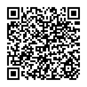 QR Code for Paddy Mapping as an Organizationa tool for Communal Irrigation System Rehabilitation/ConstructionExpansion