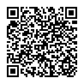 QR Code for Social Organizational Aspects of Improved Irrigation Management: An Intensive Interdisciplinary Short Course