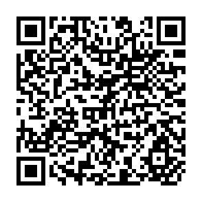 QR Code for Physical and Socio Economic Dynamics of Irrigation in Pakistan
