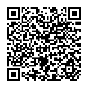 QR Code for Returns to Irrigation Investments in Central Luzon, Philippines