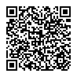 QR Code for Water Management Dicission Making in the Pekelen Sampan Irrigation Project, East Java, Indonesia