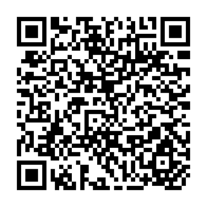 QR Code for The Case of China: A Viable Rural Oriented Society?