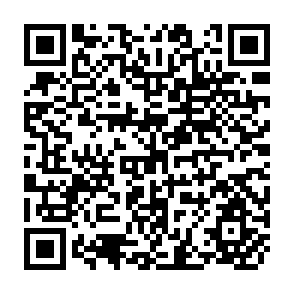 QR Code for The Impact of Agricultural Extension: The Training and Visit System in India