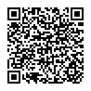 QR Code for The Poor in Asia: Productivity-rasing Programmes and Strategies