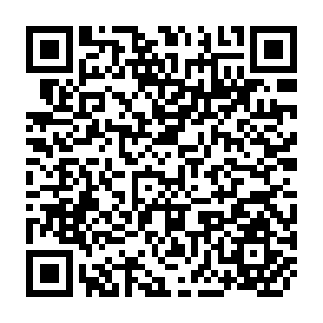 QR Code for The Interface Data Book for Word Processing/Typesetting 1984-1985