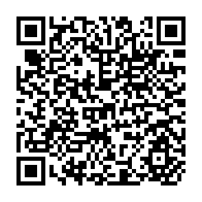 QR Code for Documentation Of The United Nations System: