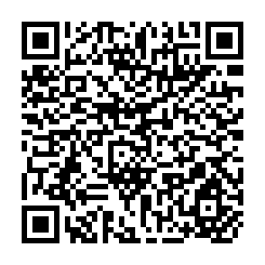 QR Code for Data Base Management Systems