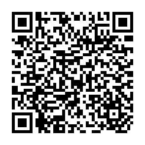QR Code for Information Interaction