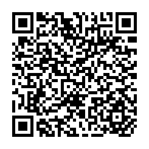 QR Code for The Design of Organizations for Rural Development Projects A Progress Report