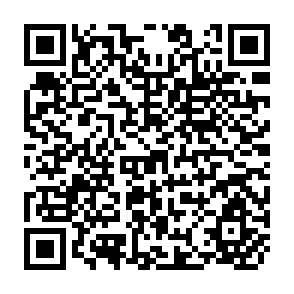QR Code for Prospects for Food Production and Consumption in Developing Countries