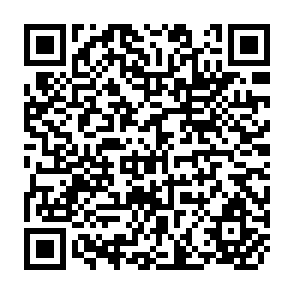 QR Code for Irrigation Management in China- A Review of the Literature
