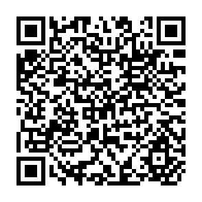QR Code for Food Policy Issues in Low - Income Countries