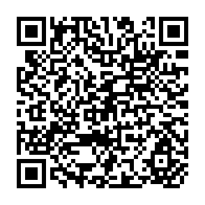 QR Code for An Overview of Selected Food Issues from an Asian Perspective