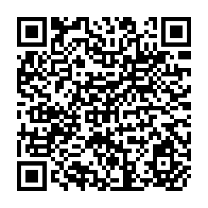 QR Code for Land reform: Report to the government of Indonesia
