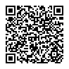 QR Code for Food Aid: Reflections on a Decade of Action