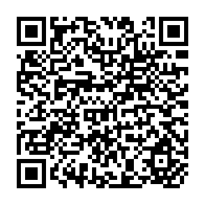 QR Code for Food Aid: Reflections on a Decade of Action