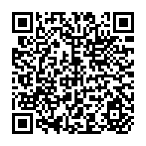 QR Code for International Statistical Institute 45th Session
