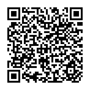 QR Code for Poverty in the Developing Countries