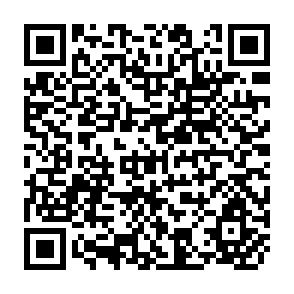 QR Code for Factors in Carrying out Land Reform: Services and Supplies