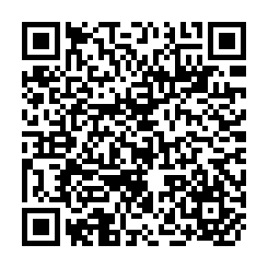 QR Code for Abstracting and Indexing Services in Perspective: Miles conrad memorial lectures 1969-1983