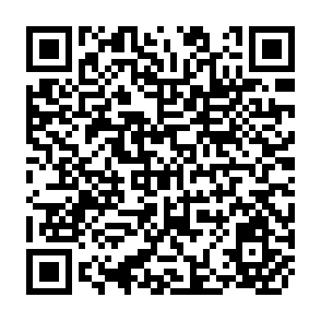 QR Code for Agricultural Project Management