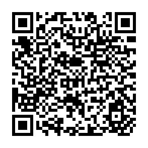 QR Code for International Dimensions of Land Reform