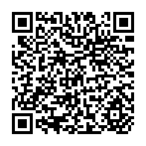 QR Code for Development of the Labor Surplus Economy