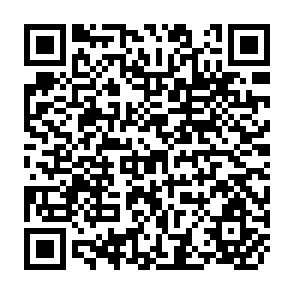 QR Code for Transferring Food Production Technology to Developing Nations- Economic and Social Dimensions